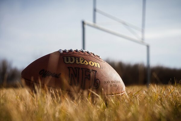 A rugby ball is lying on the grass