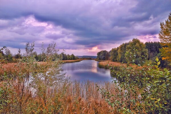 Paysage d automne de la rivière et des arbres