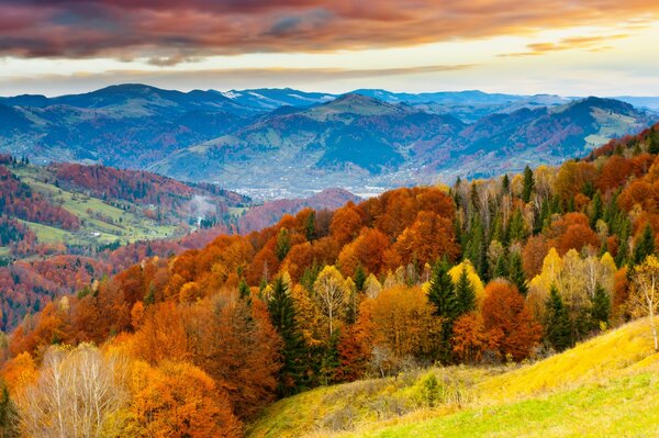 Осенний пейзаж с желтыми деревьями и горами