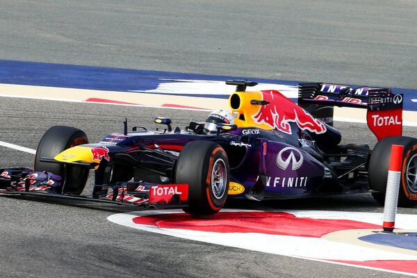 Formula 1 con Sebastian alla red bull racing