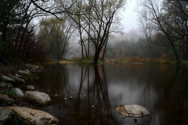 Bewölkter See in einem nebligen Wald