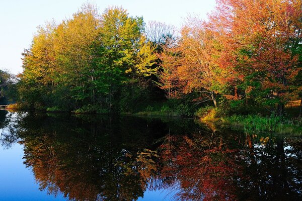 Осенние деревья, красиво отражающиеся в озере