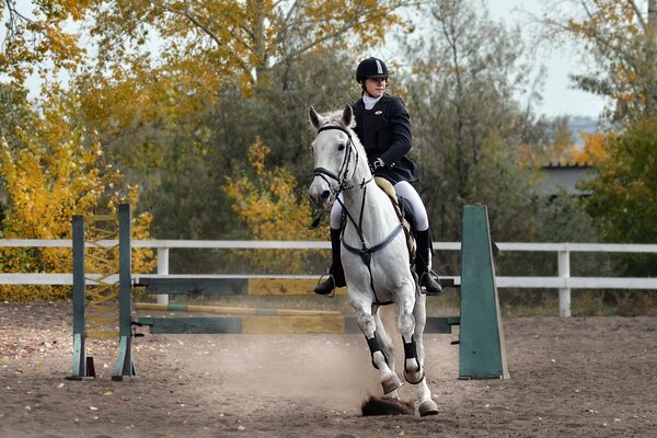 Salto deportivo en caballo blanco