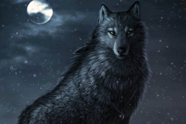 Loup de nuit sous la neige