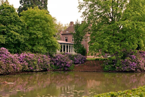 Casa nel parco, vicino allo stagno 