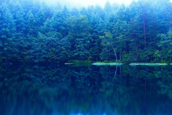 Озеро с лесом на заднем плане в голубых оттенках