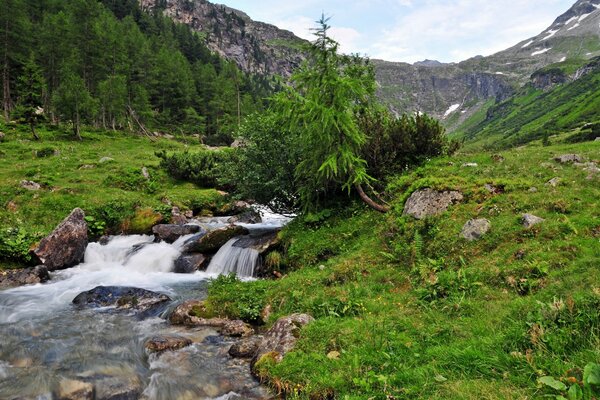 Paysage de cascade parmi les montagnes australiennes