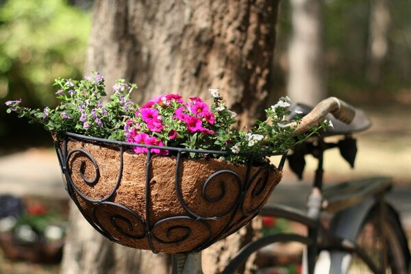 Flores en macetas en la calle