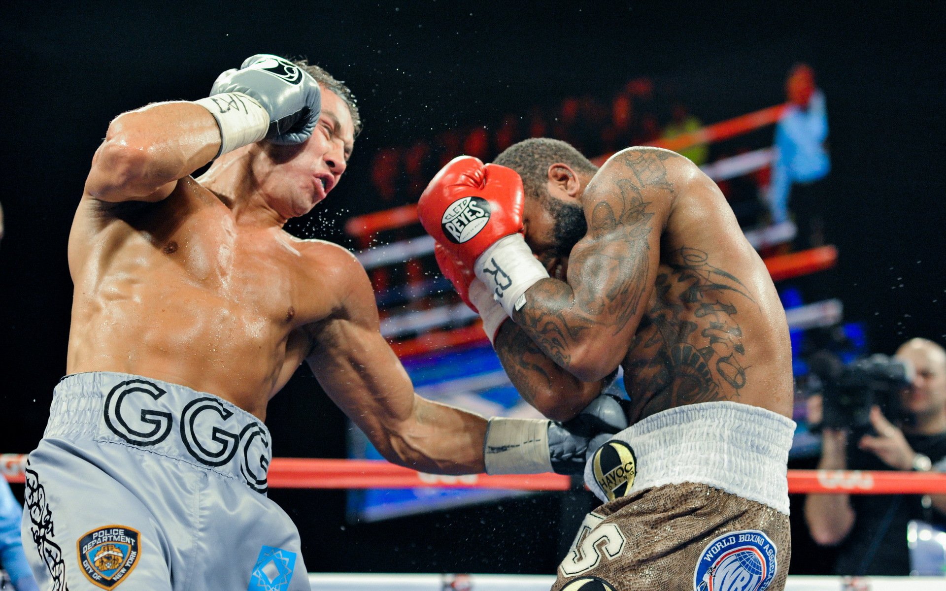 curtis stevens gennady golovkin boxe