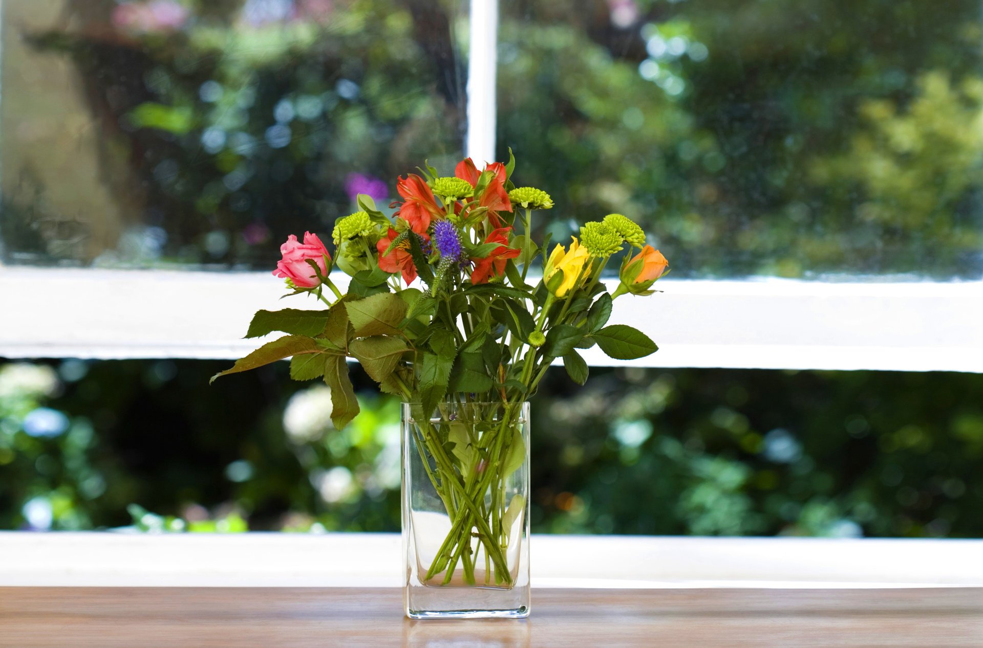 fleurs vase bouquet fenêtre verdure rebord de la fenêtre