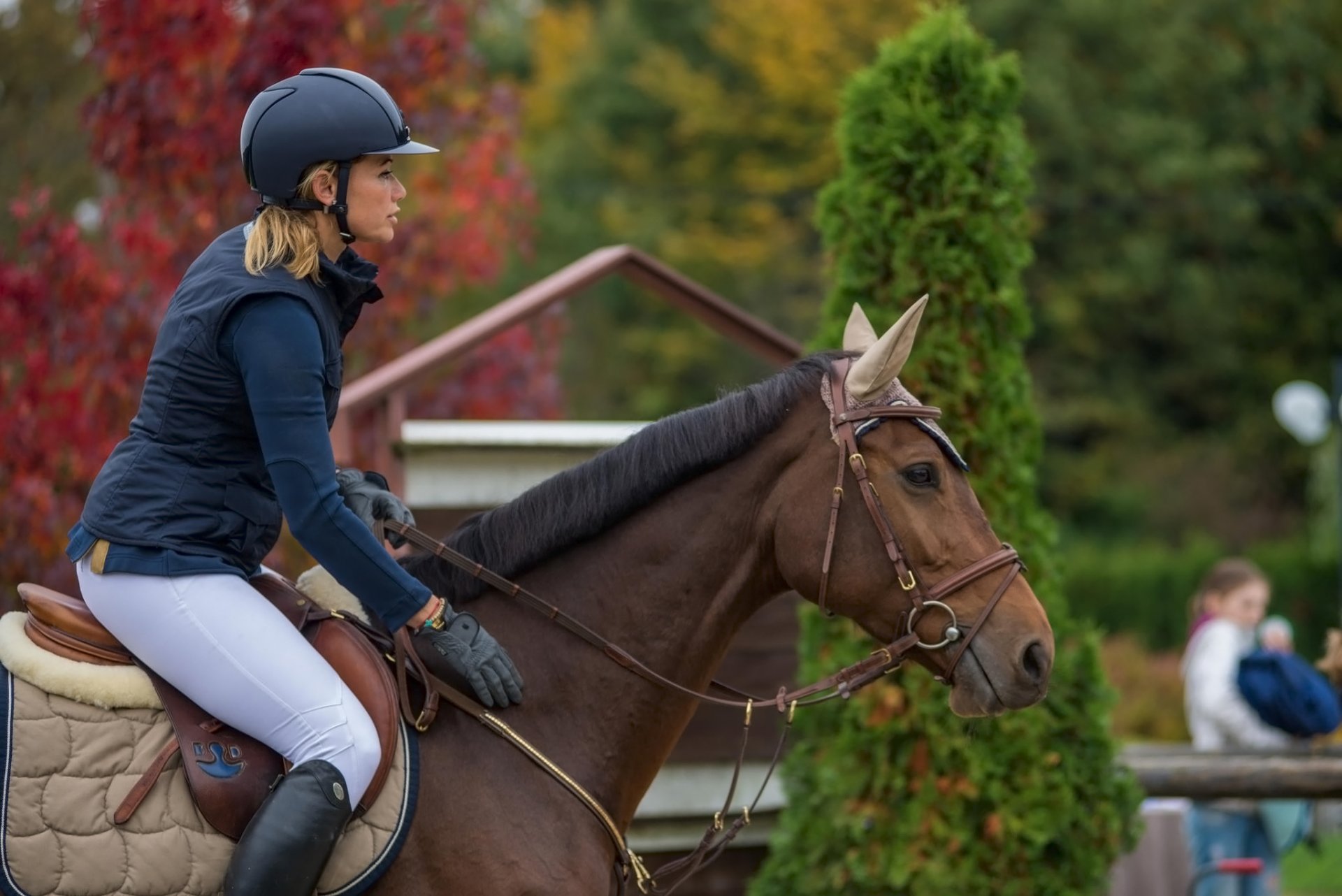 kroatien pferderennen reiten pferd