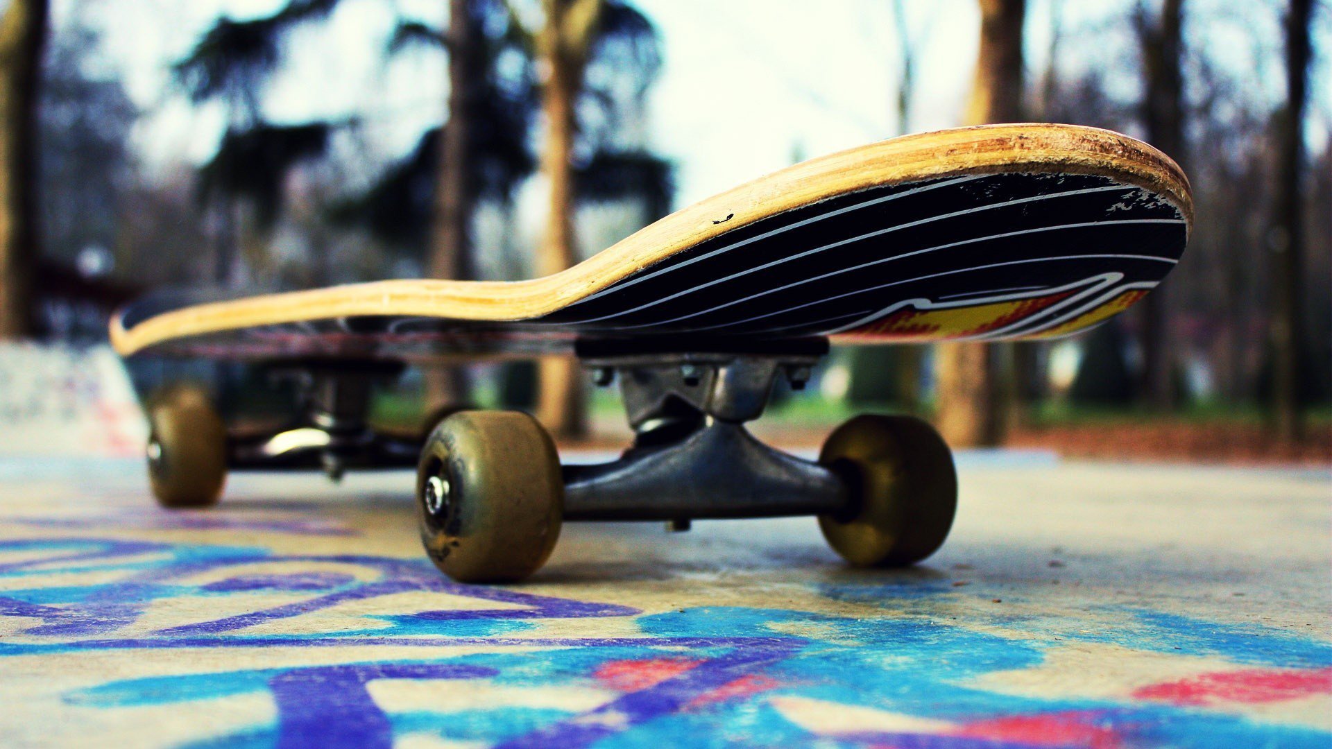 kateboard skate board