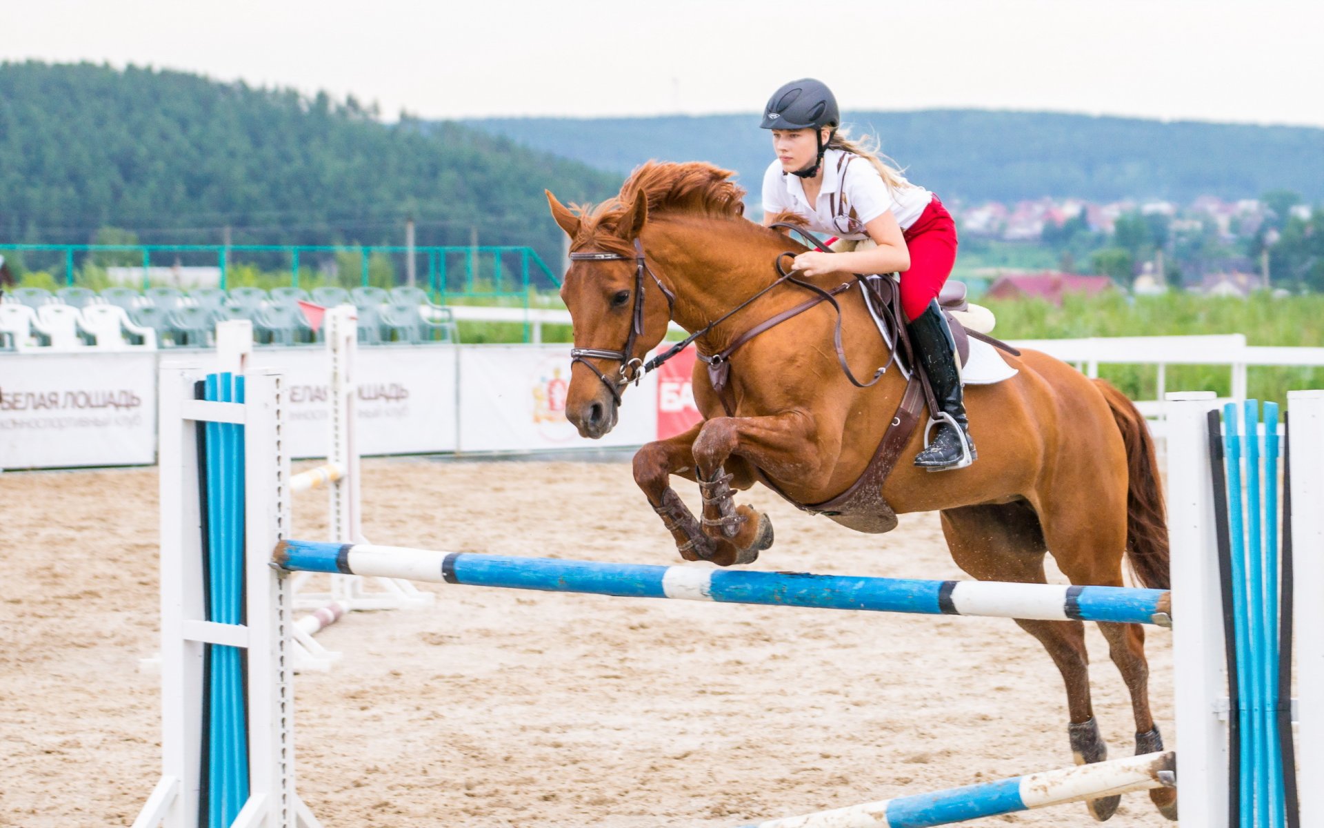 chica caballo deporte