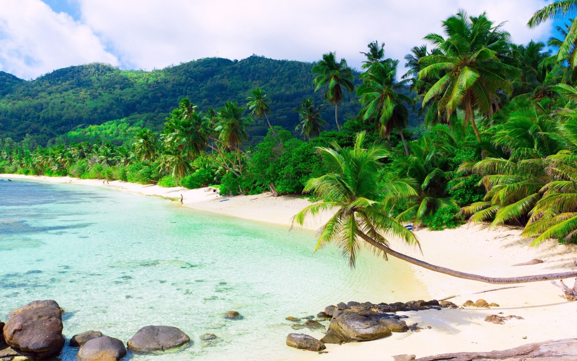 tones beach palm coast tropics island equator moe