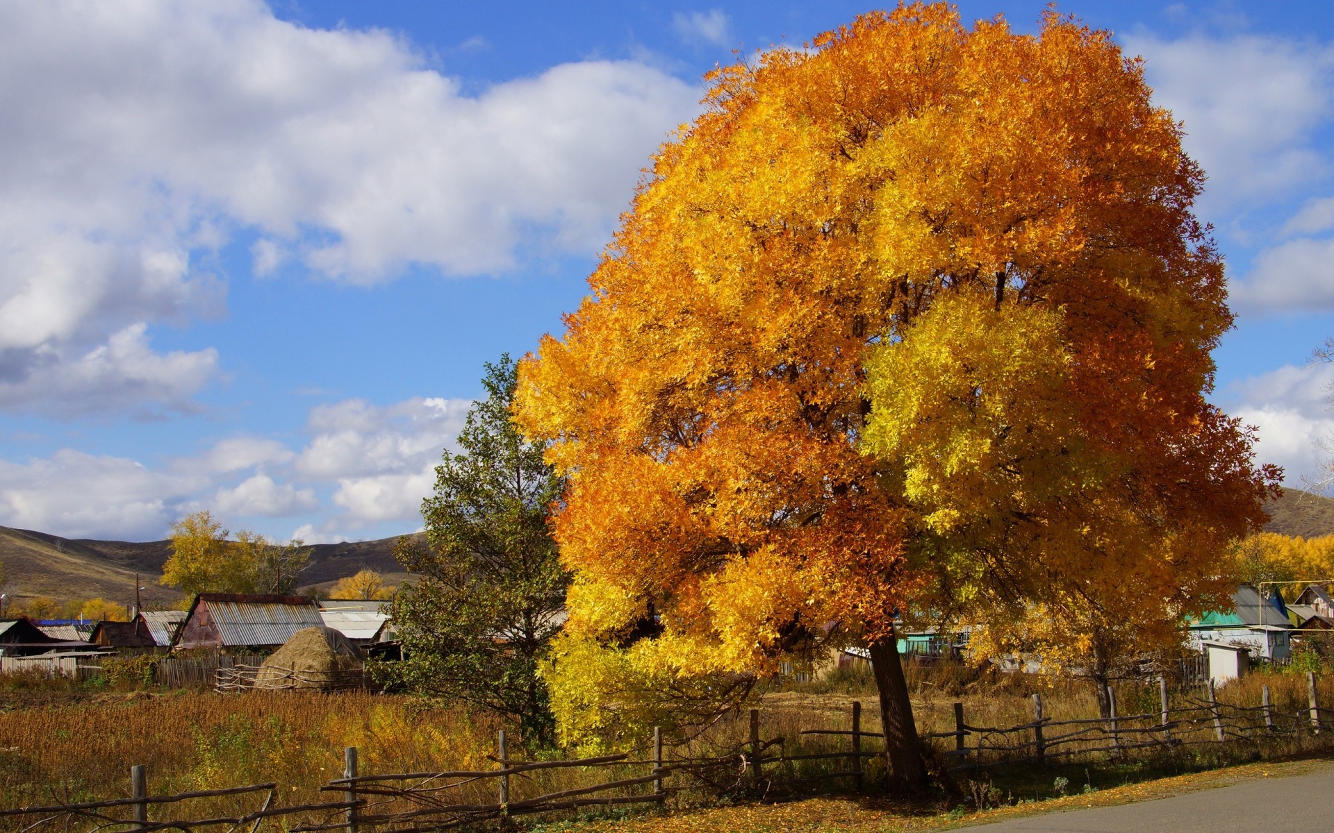 autunno villaggio colori natura legno