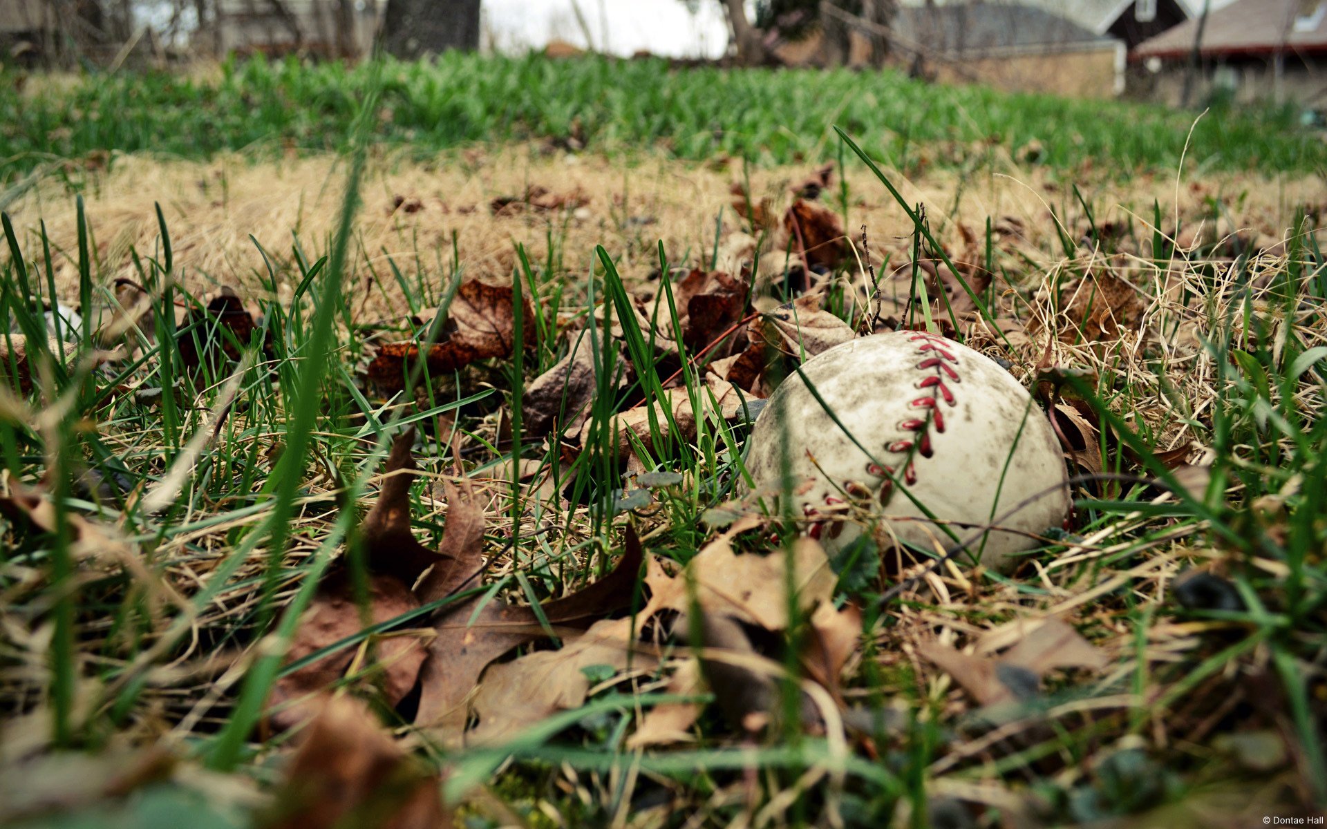 baseball sport feld