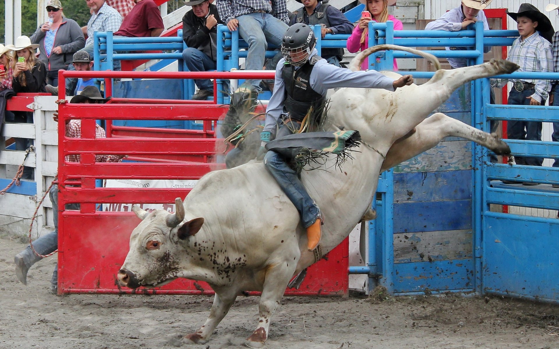 kleine rodeo-stadt sport stier