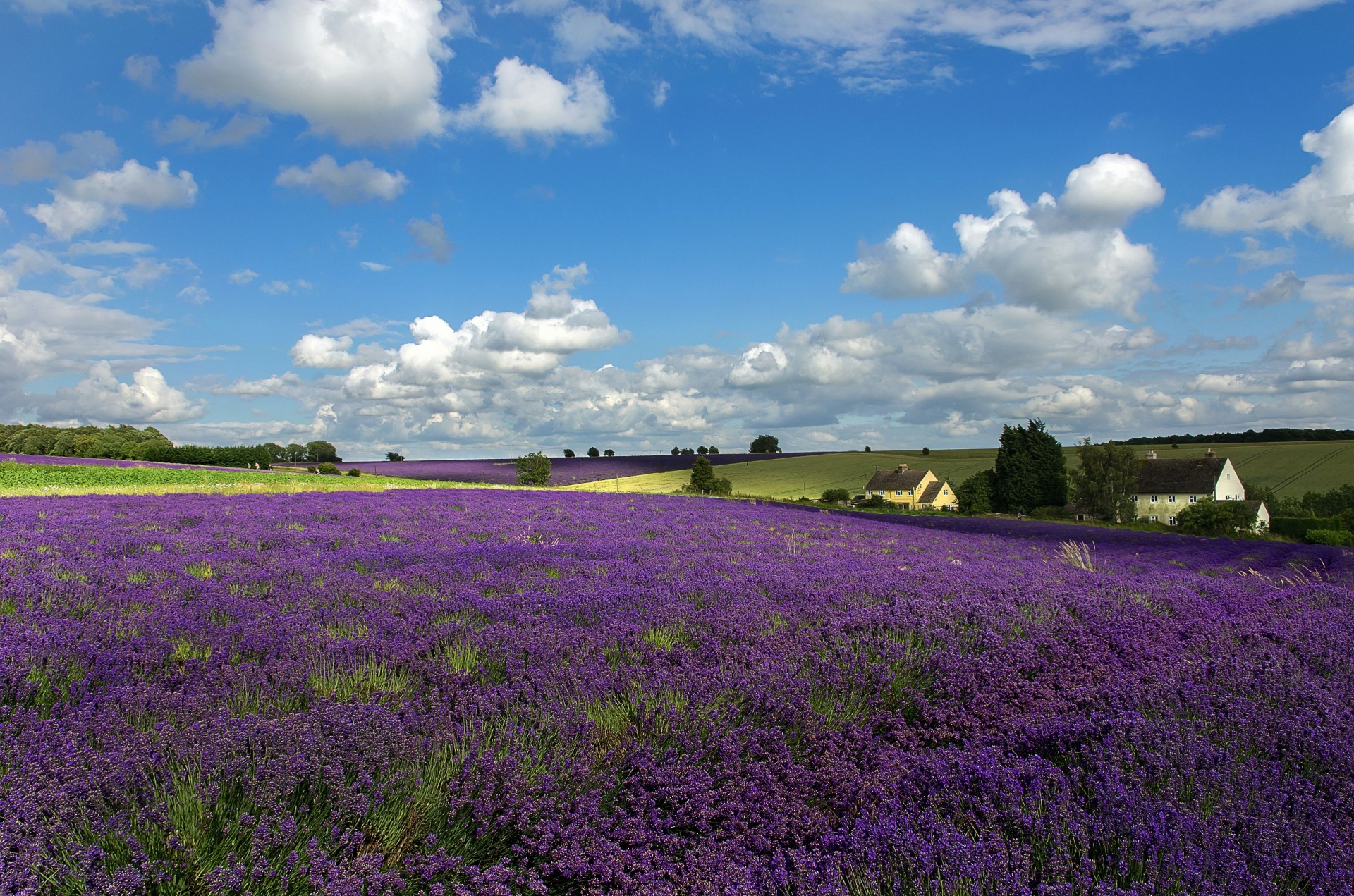 landscape tuscany clouds flower sky house