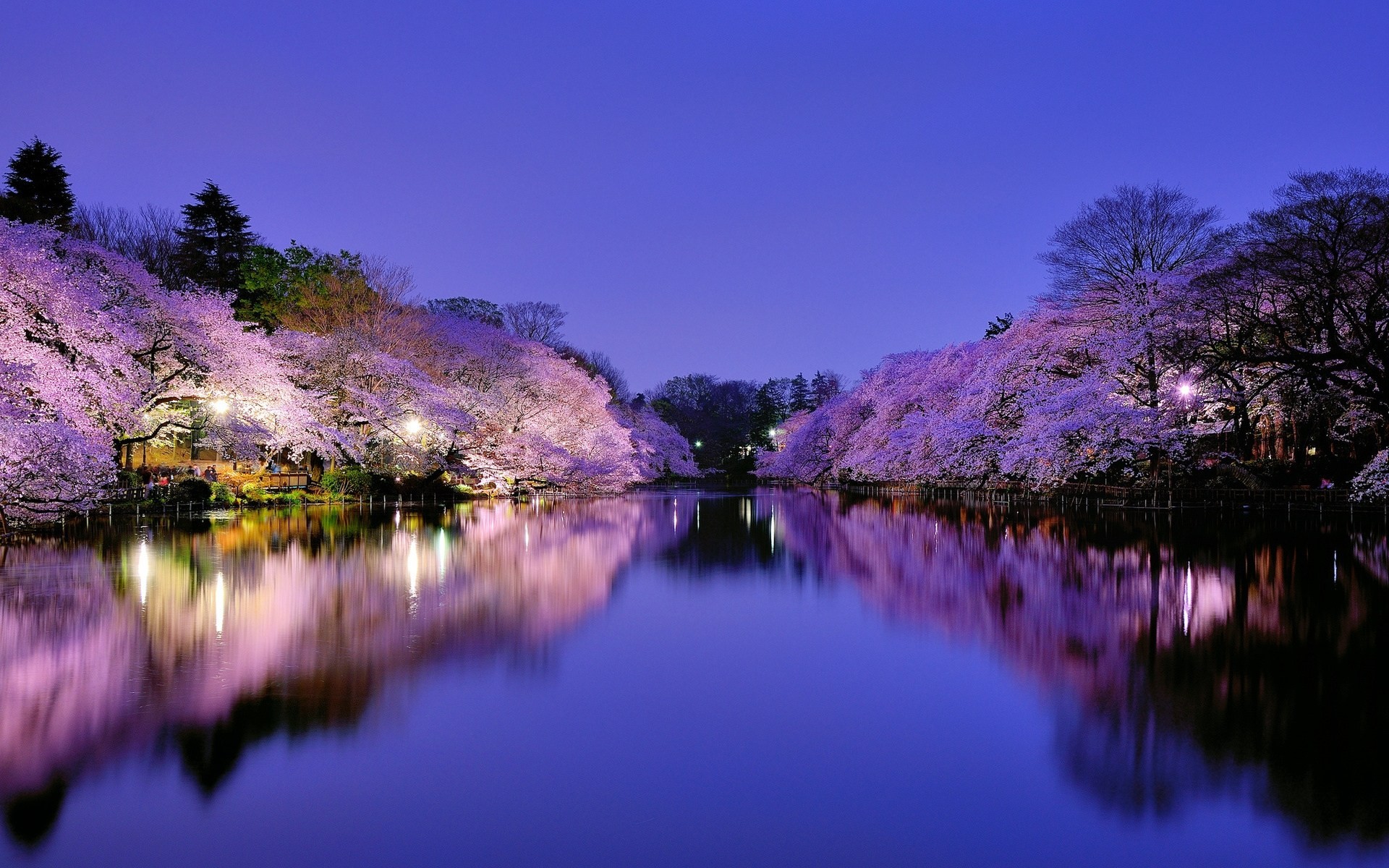 lake tokyo town light park osaka lighting