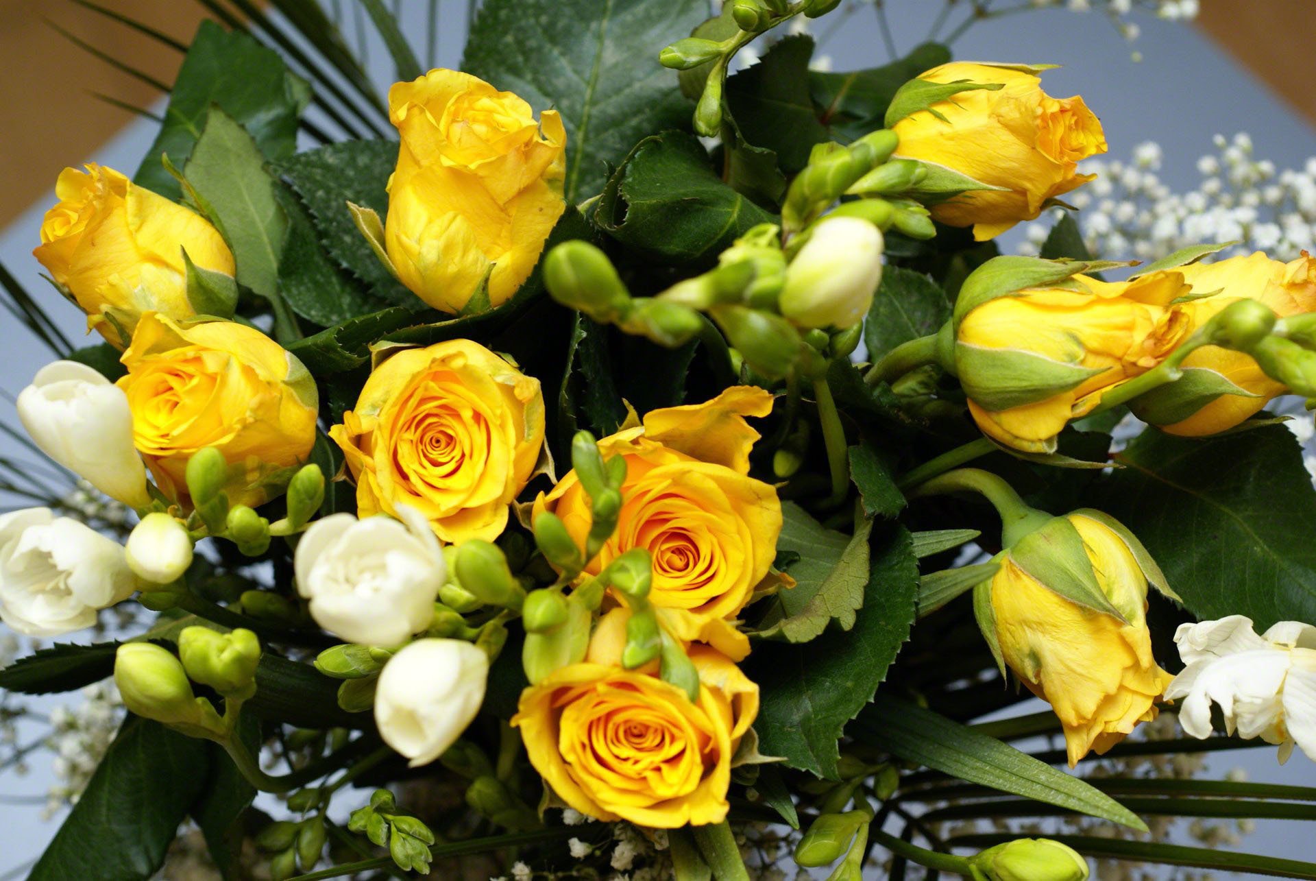 roses fleurs jaune fleur bouquet nature