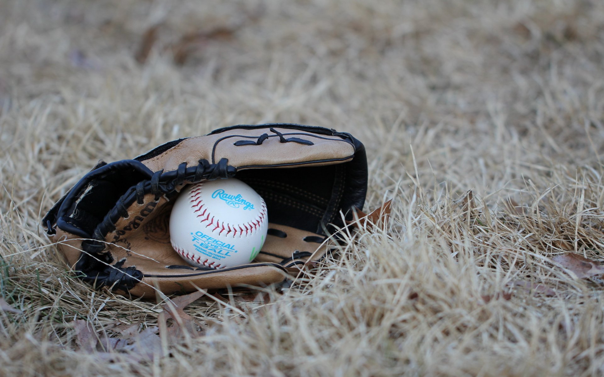 baseball ball glove sport