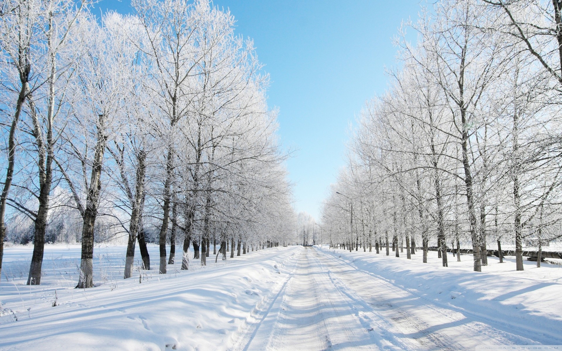 con nieve carretera