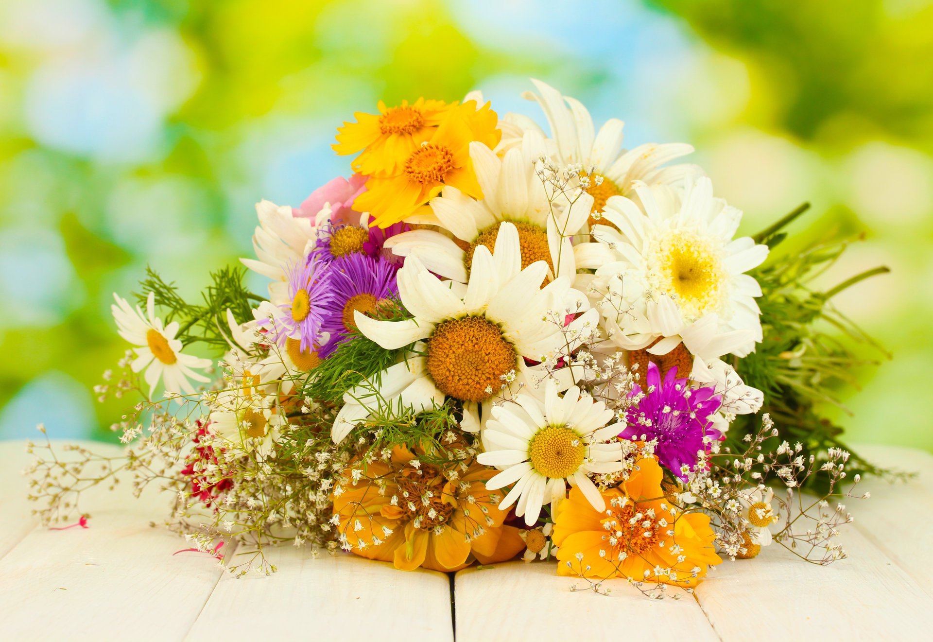 bouquet gerbera chamomile