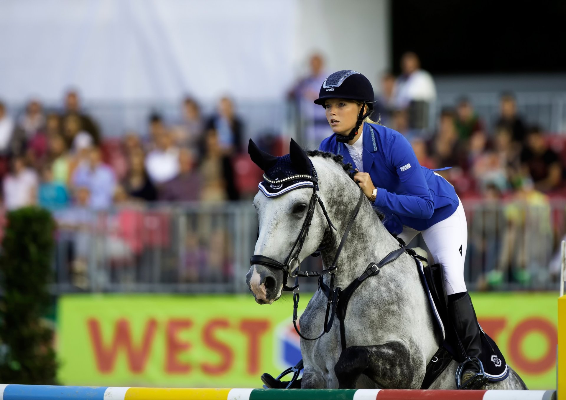 equestre salto ostacoli atleta ragazza