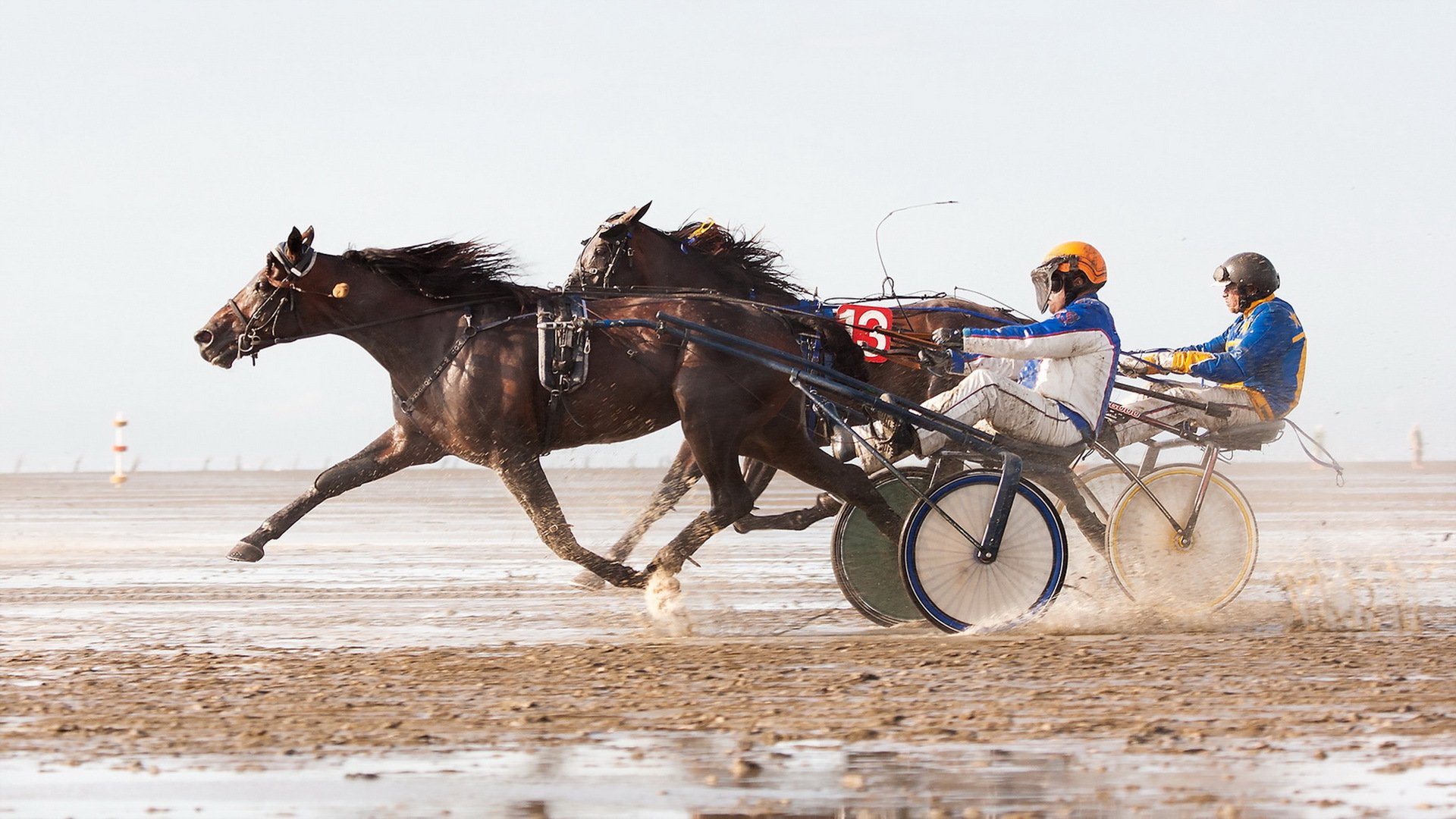 horses running race