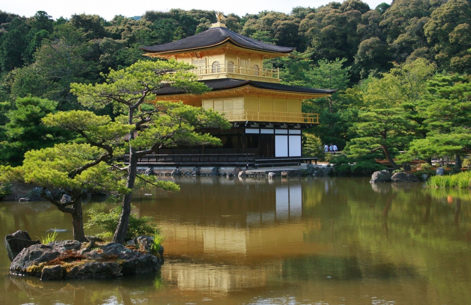 tempel wald fluss tokio teich see