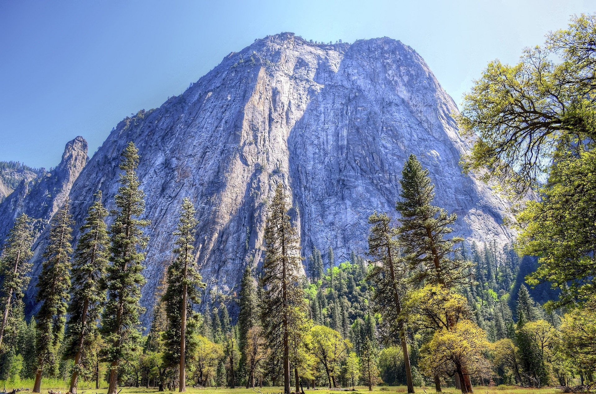 stany zjednoczone park narodowy yosemite