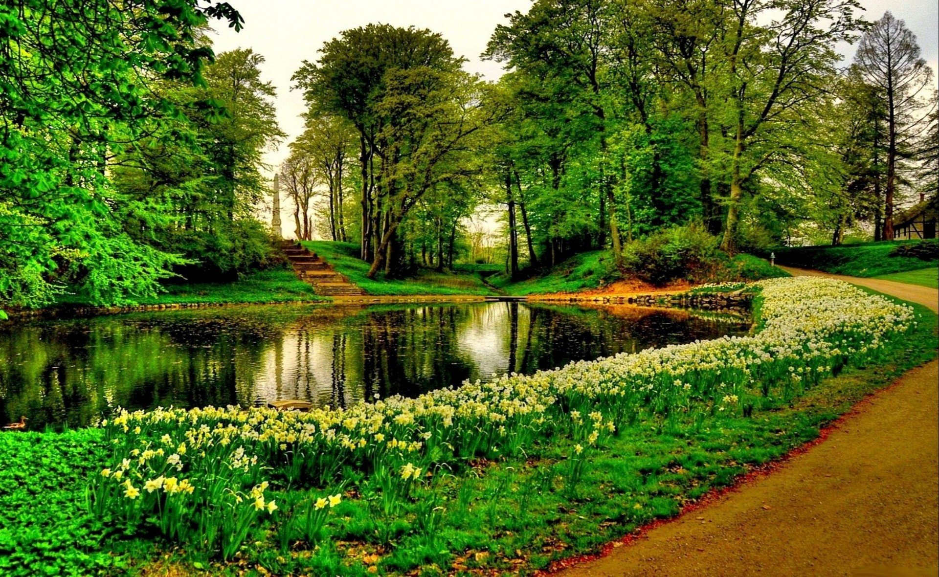 pond tree grass flower park alley stair