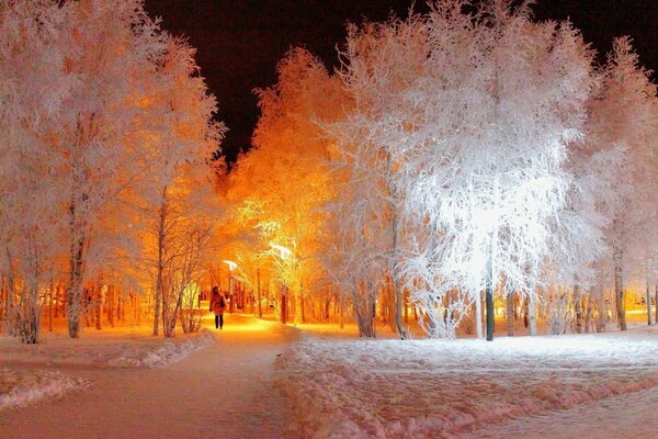 Parque de invierno por la noche