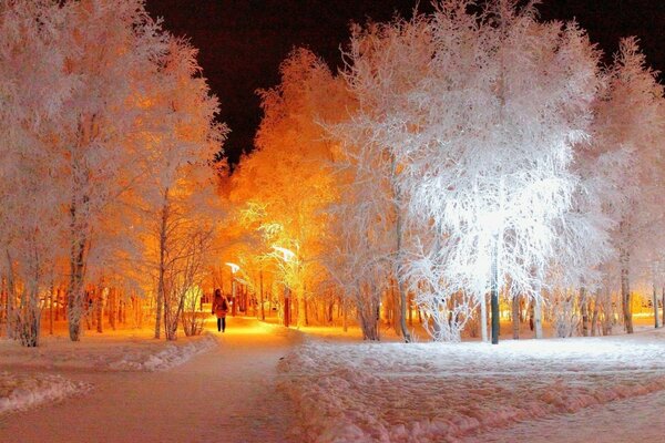 Park zimowy w godzinach wieczornych