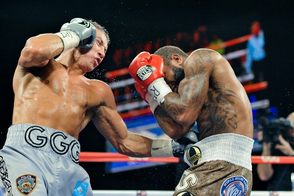 Curtis Stevens and Gennady Golovkin fight