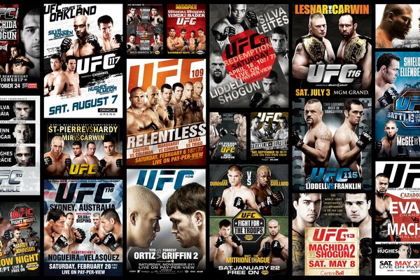 Mixed martial arts ufc fighters