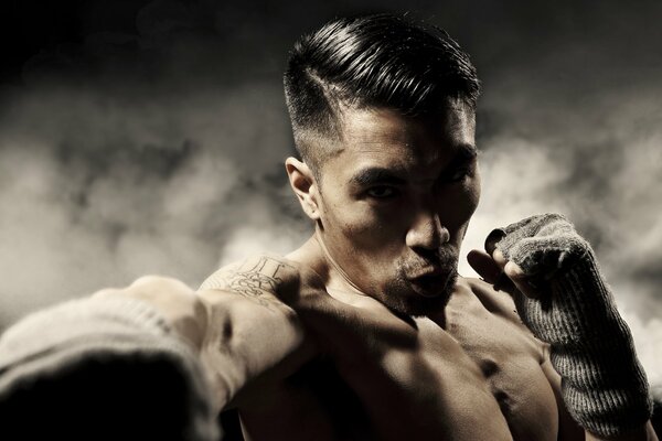 Asian boxer s stance with tattoo