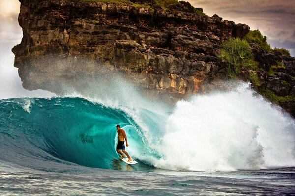 A man on a board in the crest of a sea wave