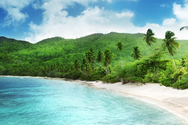 Plage tropicale, lagon bleu