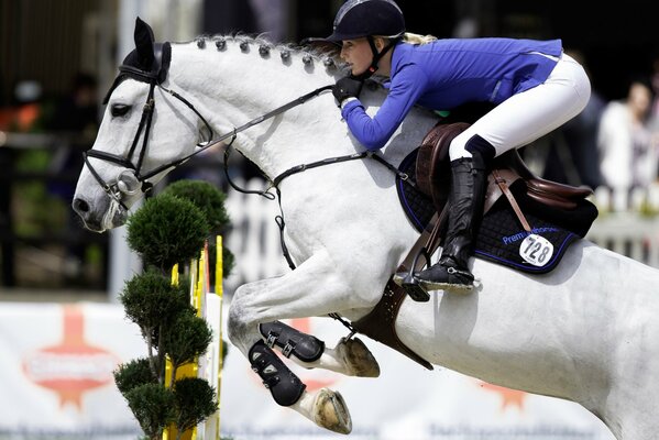 Fille cavalier sur un cheval blanc