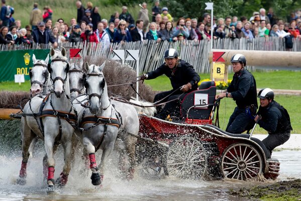 Wettkampf Pferdeschlitten. Reitsport