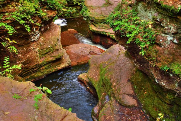 Fiume nelle rocce. Natura. Paesaggio