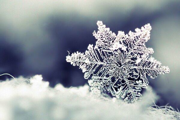 Photo of a beautiful carved snowflake