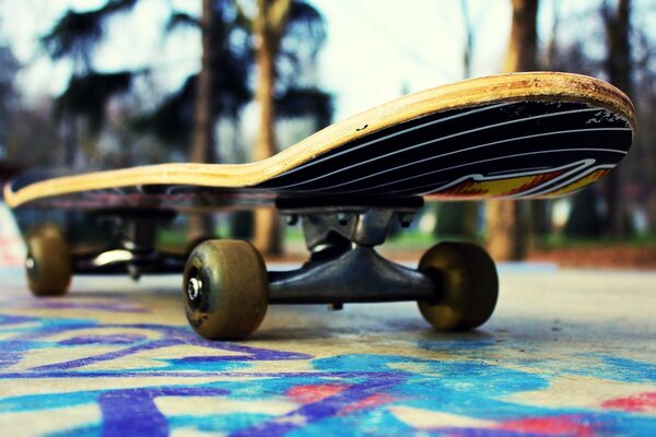 Skateboard im Park Nahaufnahme