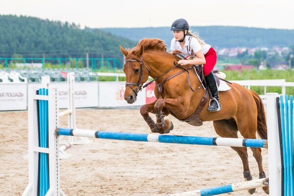 Equestrian sports with girls
