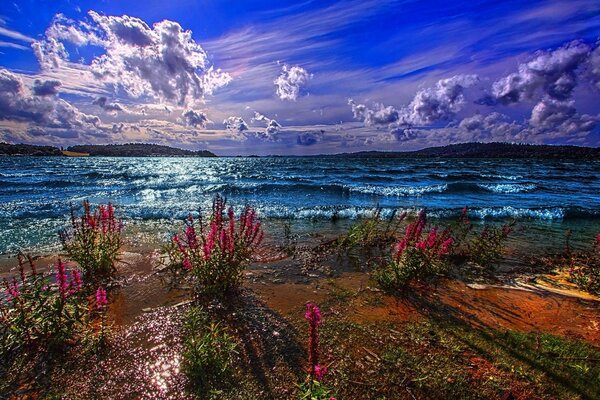 Paysage lumineux avec des fleurs sur fond de vagues