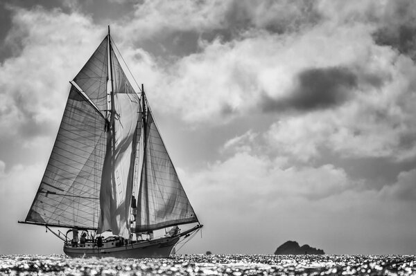 Zdjęcie czarno biały jacht morze regaty żagle