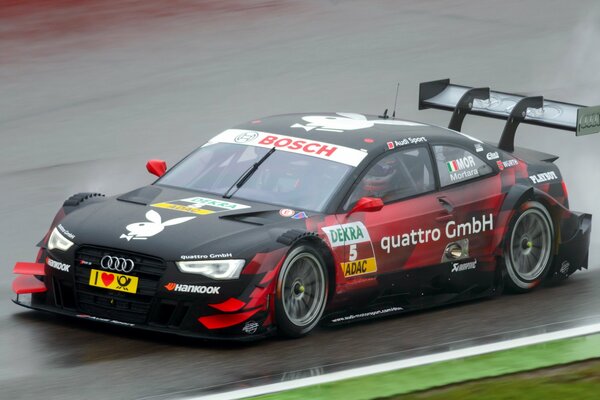 Edoardo Mortara at the races. Audi rs 5 dtm