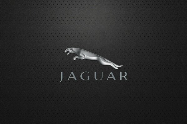 Jaguar della costellazione della galassia jaguar