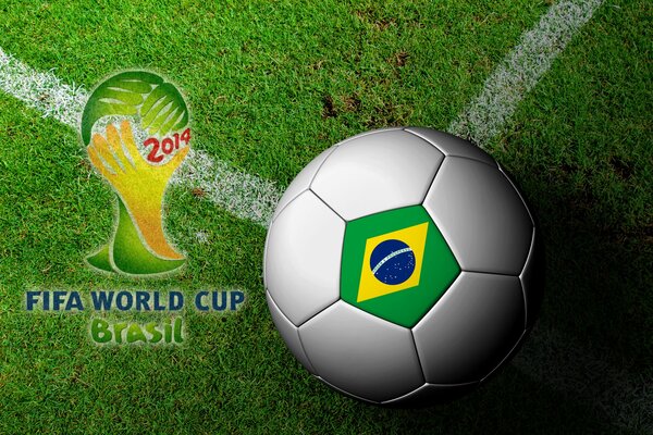 Brazil World Cup ball on grass